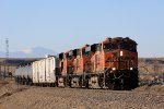 BNSF 7369